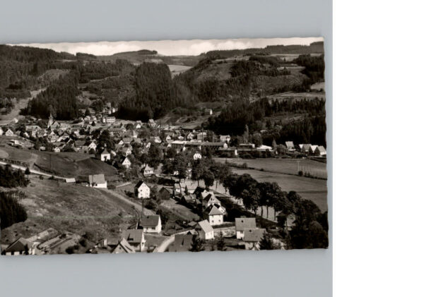Steinwiesen