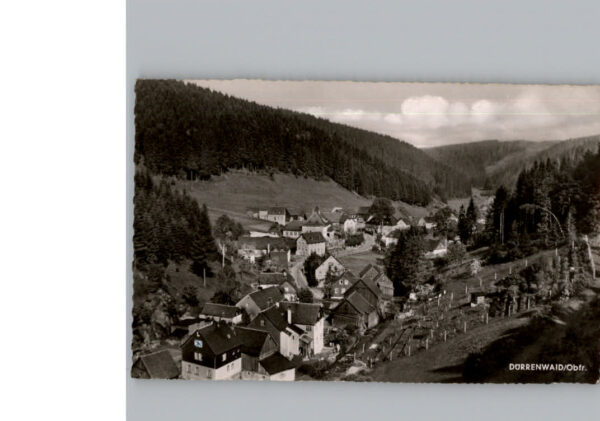 Duerrenwaid