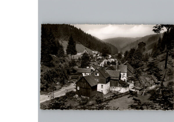 Duerrenwaid