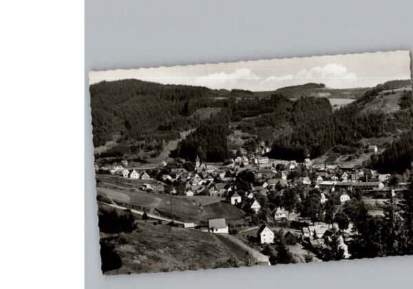Steinwiesen