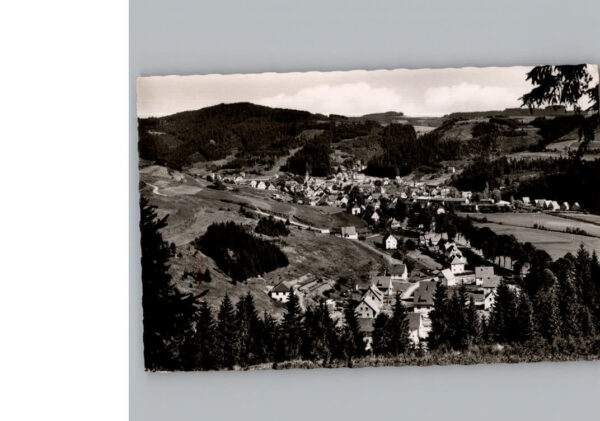 Steinwiesen