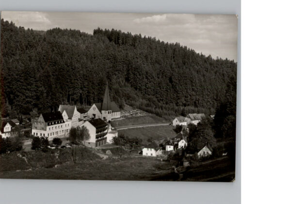 Schwarzenstein Wald