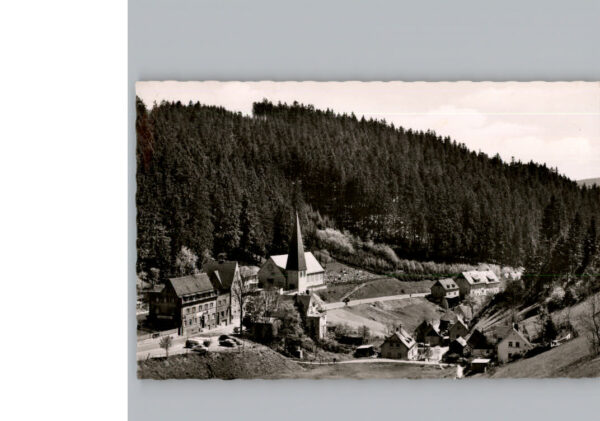 Schwarzenstein Wald