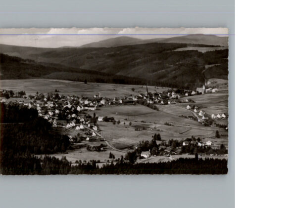 Bischofsgruen
