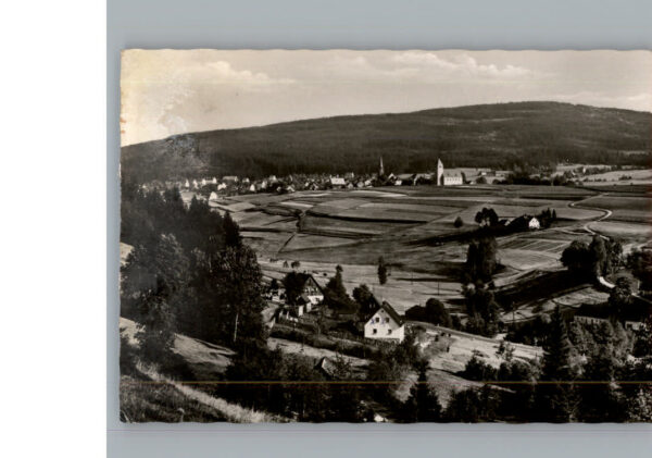 Bischofsgruen
