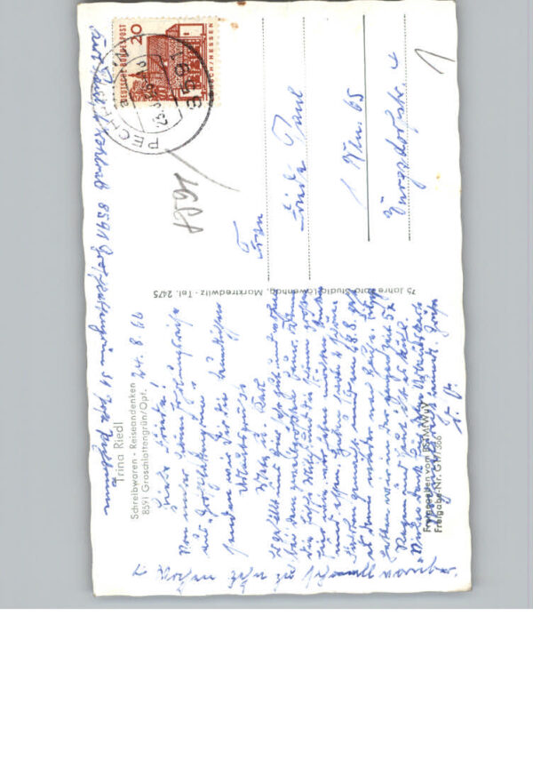 Groschlattengruen – Bild 2