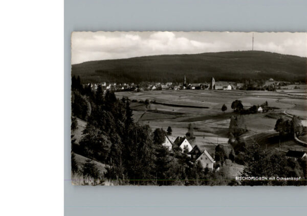 Bischofsgruen