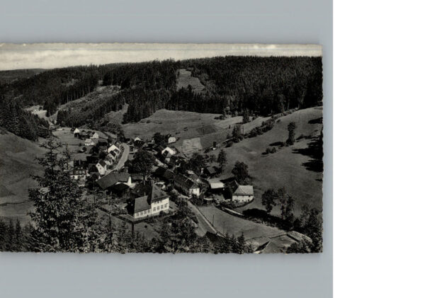 Duerrenwaid