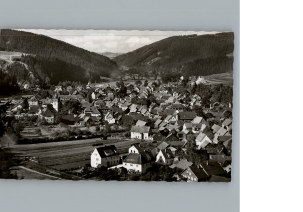 Steinwiesen
