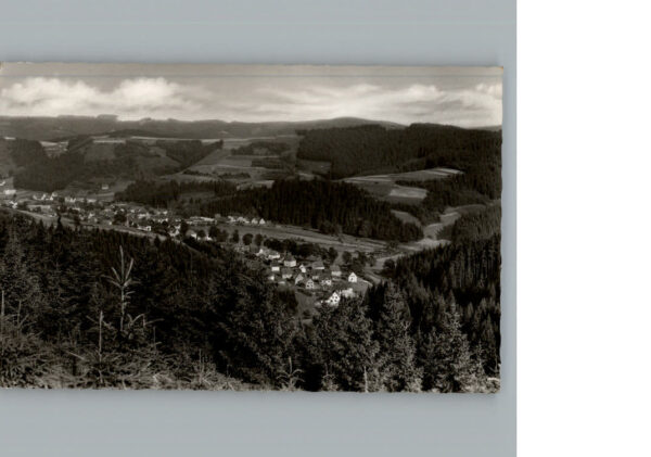 Steinwiesen