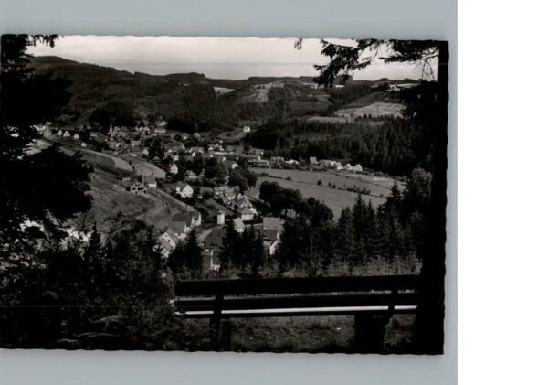 Steinwiesen