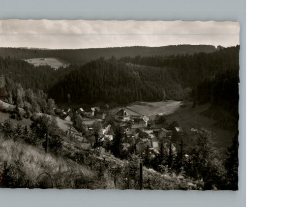Duerrenwaid