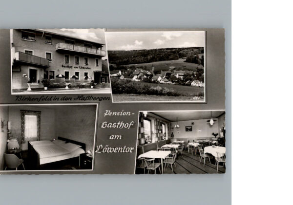 Birkenfeld Hassberge Gasthof am Loewentor