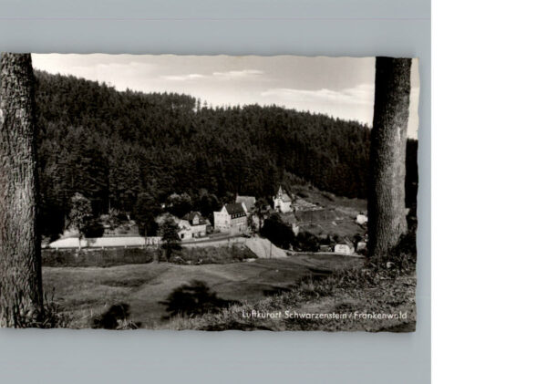 Schwarzenstein Wald