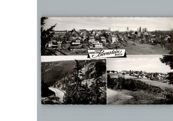 Bernstein Wald