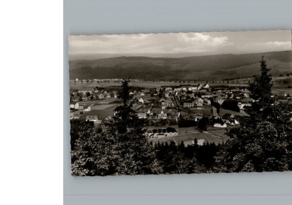 Schwarzenbach Wald