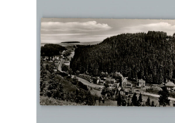 Schwarzenstein Wald