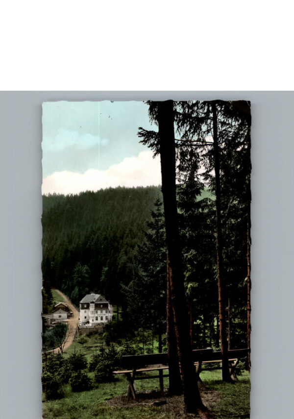 Bernstein Wald Gasthof Pension Fels