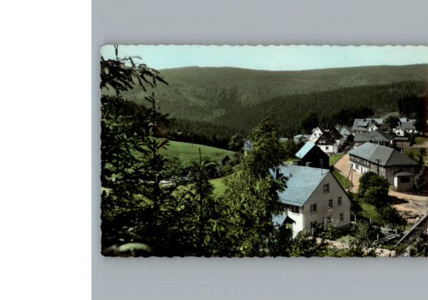 Sorg Wald
