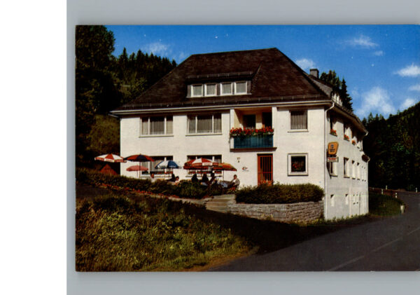 Schuebelhammer Cafe Pension Zur Muehle
