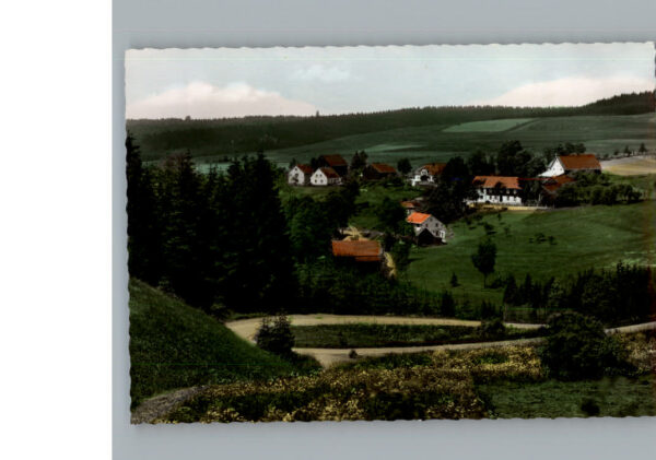 Gottsmannsgruen Wald