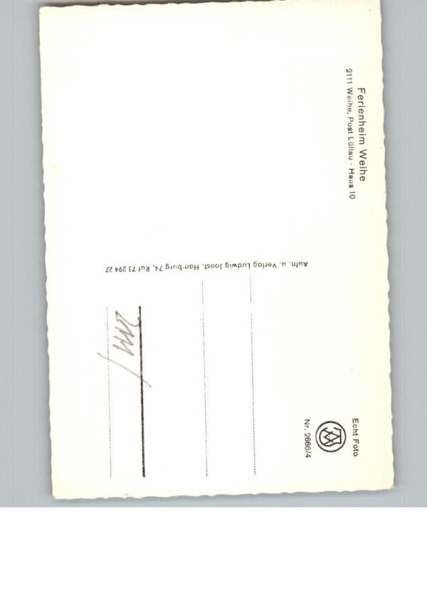 Weihe – Bild 2