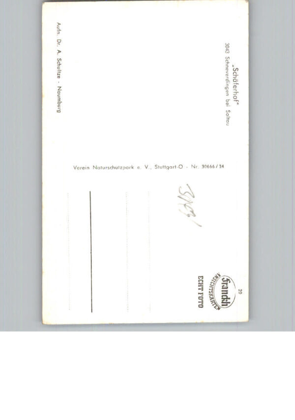 Schneverdingen – Bild 2