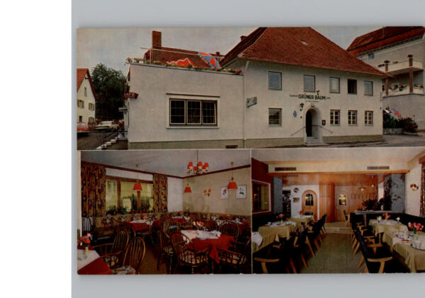 Oberguenzburg Gasthof gruener Baum