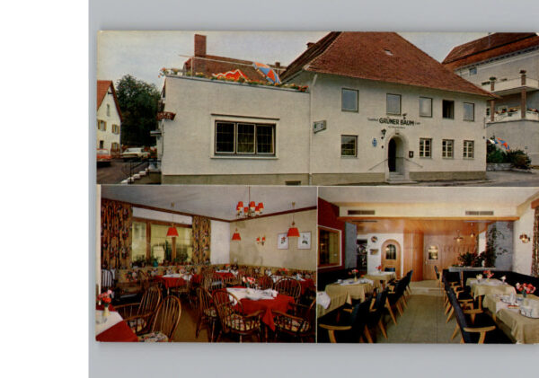 Oberguenzburg Gasthof gruener Baum
