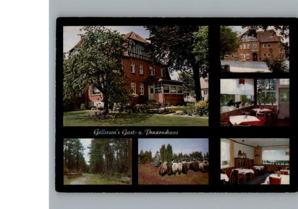 Luebberstedt Lueneburger Heide Pension Gellerdens Gast