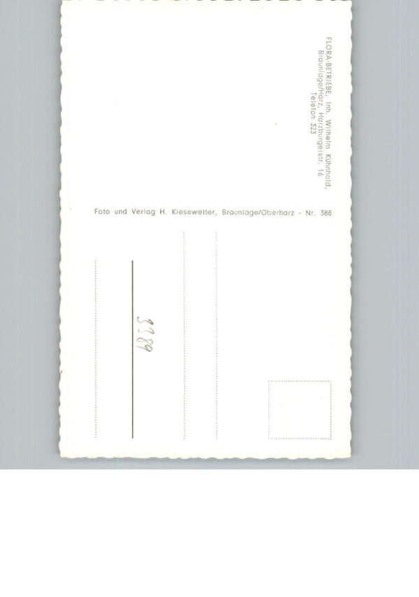 Braunlage – Bild 2