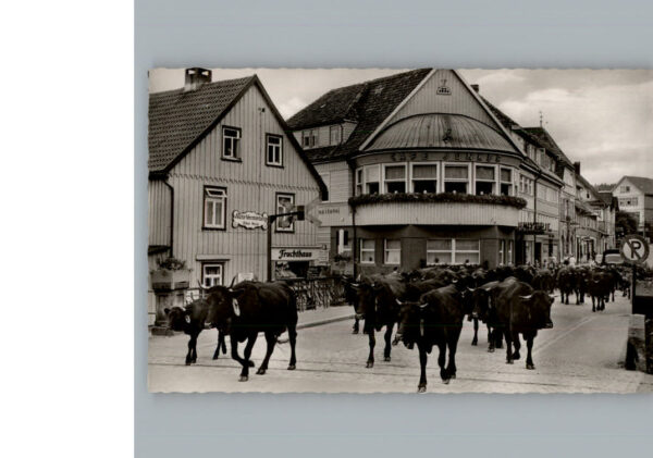 Braunlage