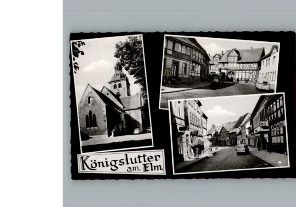 Koenigslutter Elm
