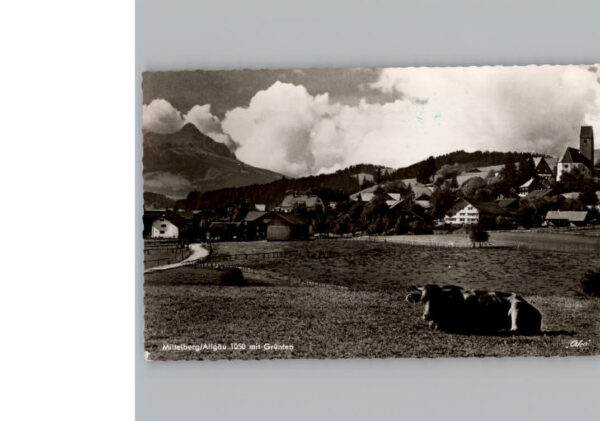 Mittelberg Oy