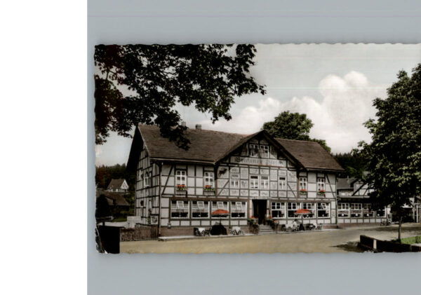 Neuhaus Solling Hotel Brauner Hirsch
