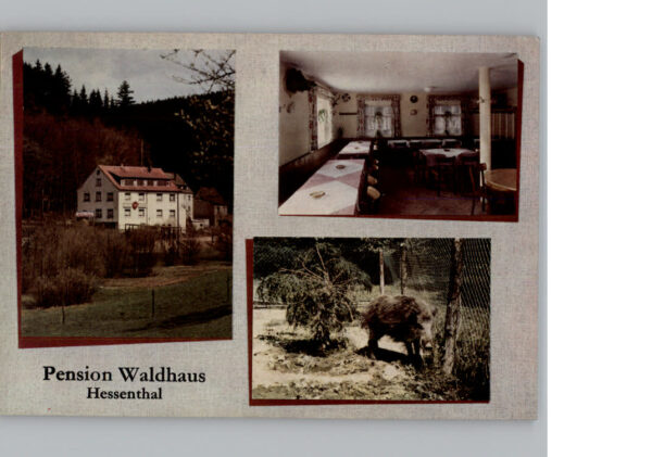 Hessenthal Spessart Pension Waldhaus