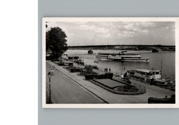 Bonn Rhein