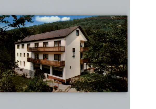 Bad Brueckenau Hotel zur Muehle