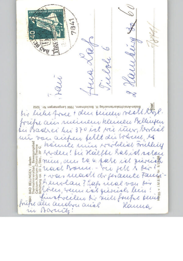 Bad Bellingen Fliegeraufnahme – Bild 2