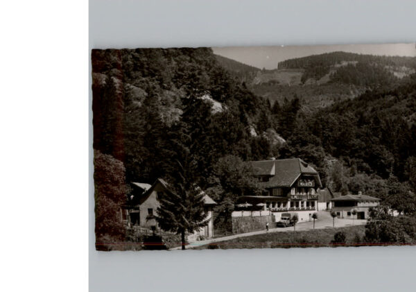 Todtnau Hotel Waldeck