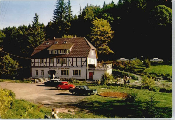 Neuhaus Solling Hotel Alte Muehle