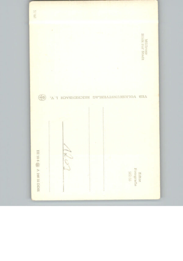 Muellrose – Bild 2