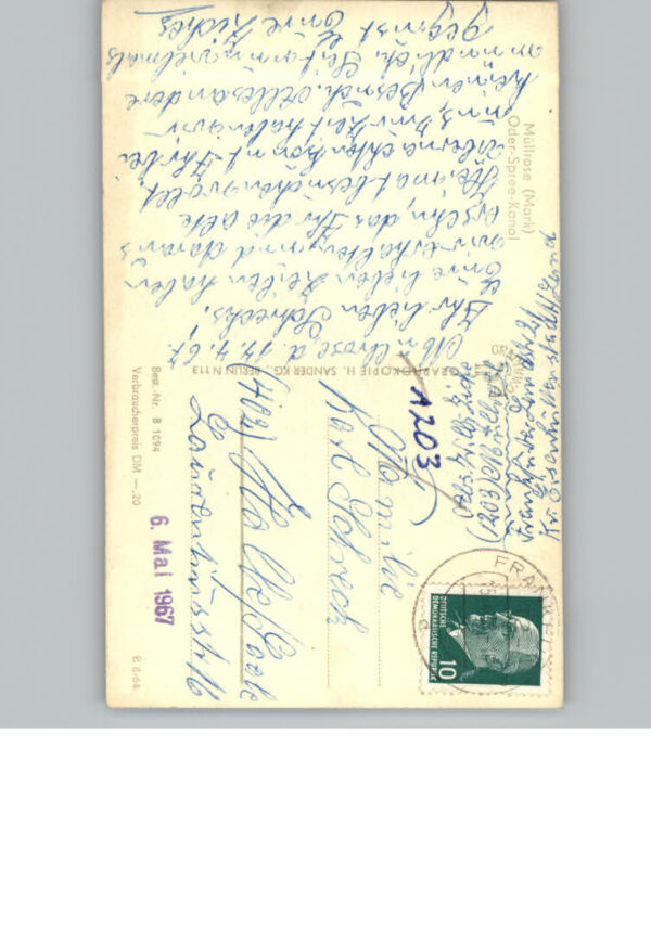 Muellrose – Bild 2