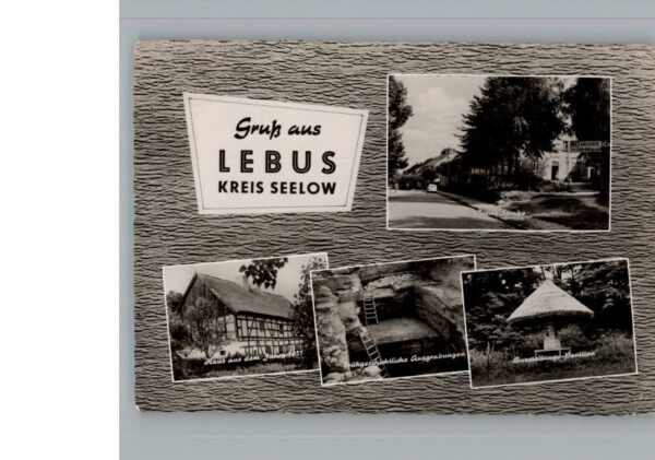 Lebus