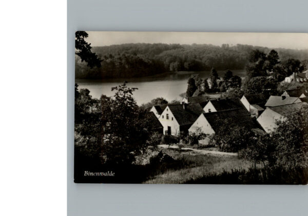 Binenwalde