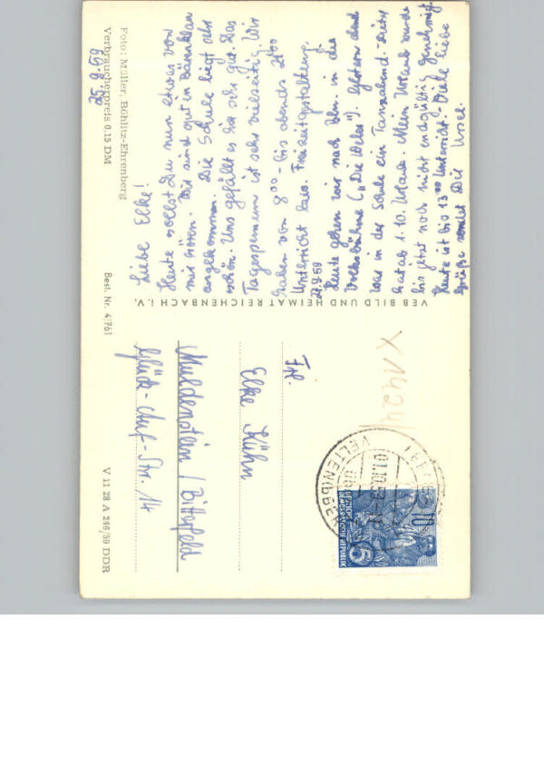 Leegebruch – Bild 2