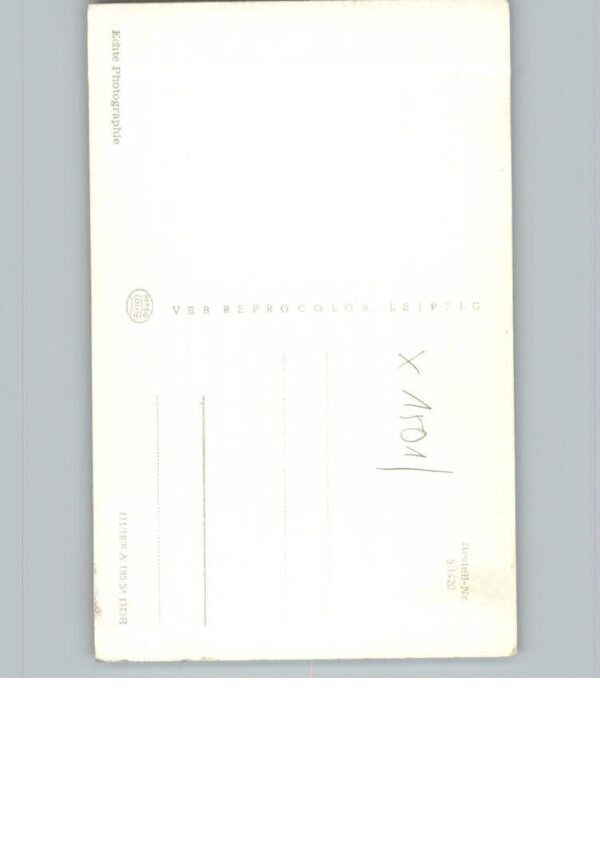 Ferch – Bild 2