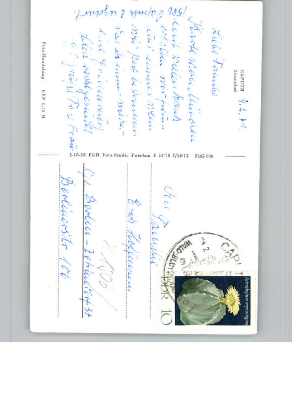 Caputh – Bild 2