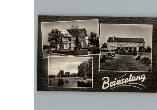 Brieselang