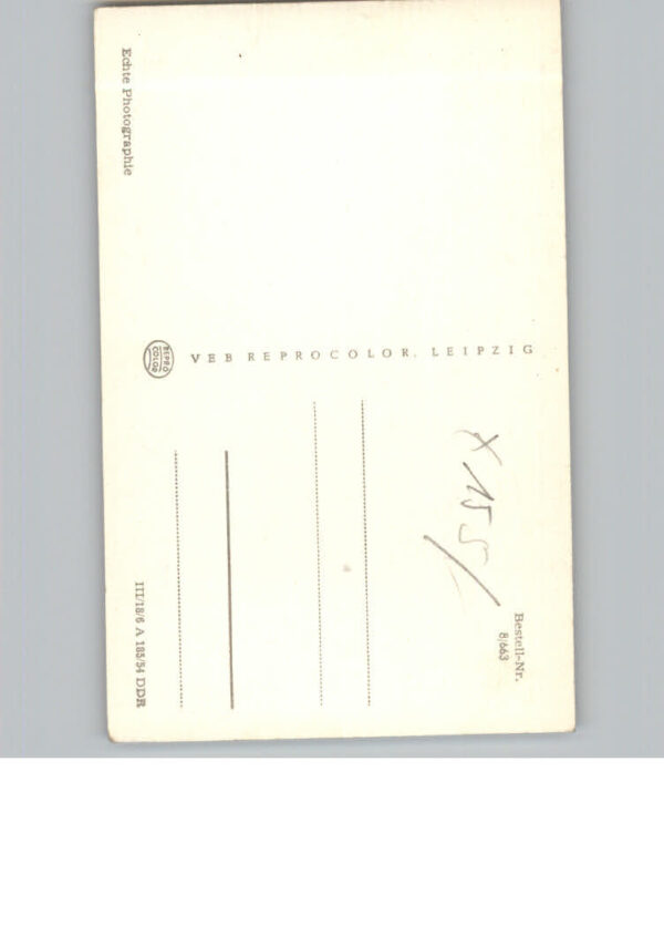 Nauen Havelland – Bild 2